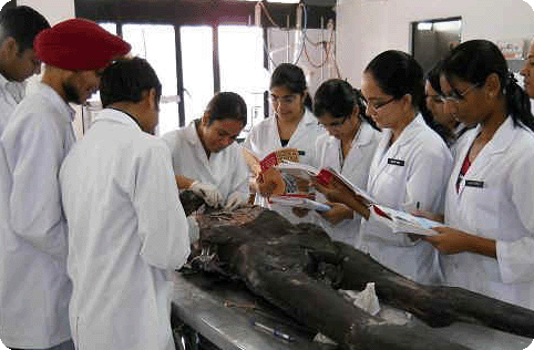 Anatomy-Lab