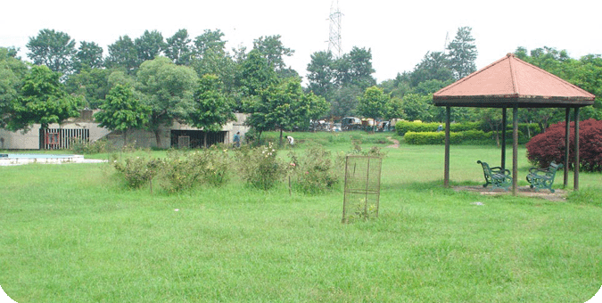 GMCH-Garden