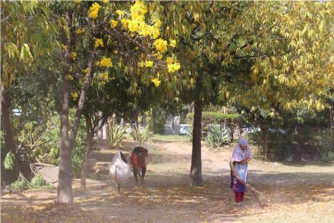 Swachh-Bharat-Abhiyan-in-GMCH